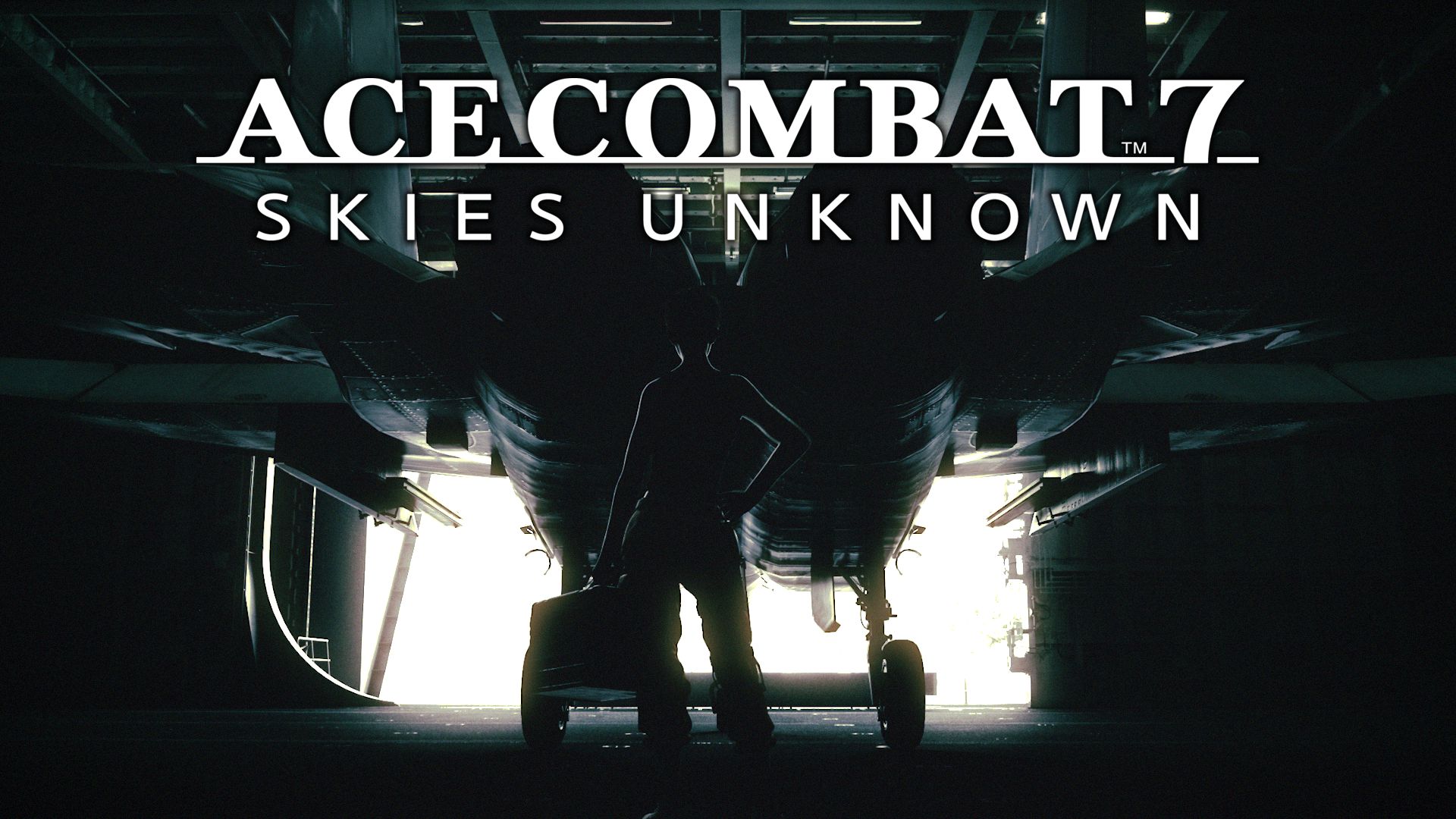Ace Combat 7 Skies Unknown Principal