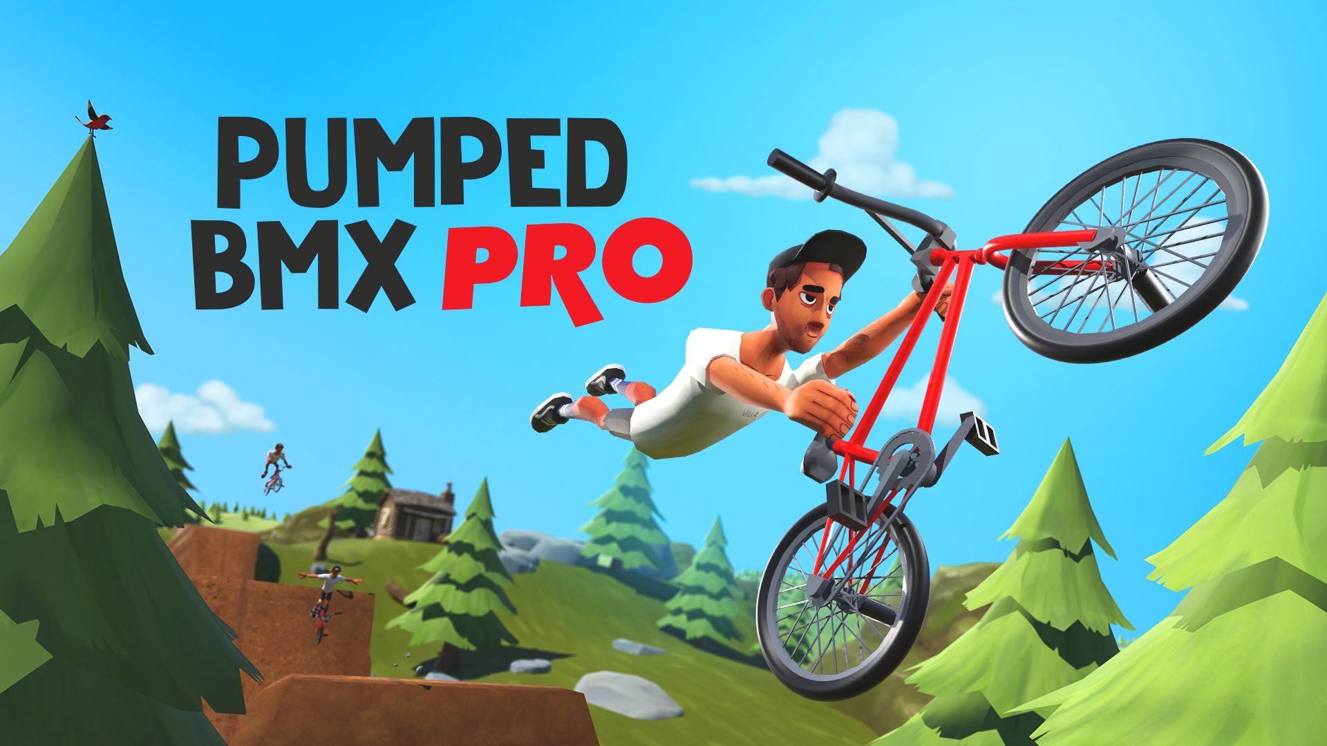 Pumped BMX Pro Principal