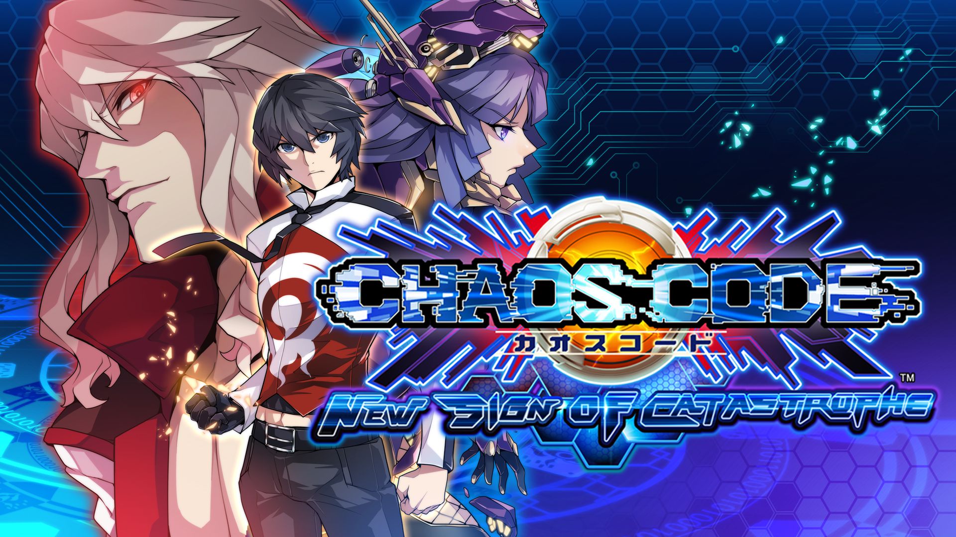 Chaos Code New Sign of Catastrophe Principal