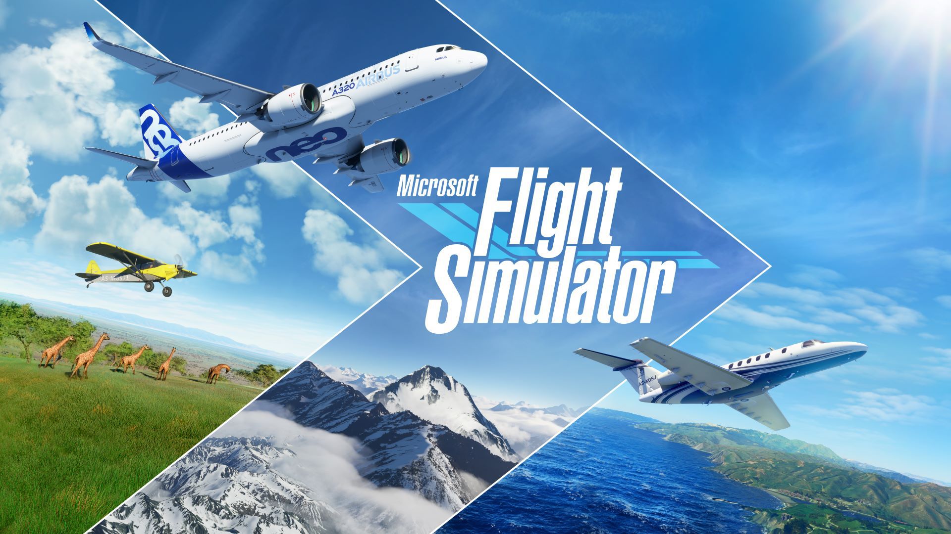 Microsoft Flight Simulator Principal