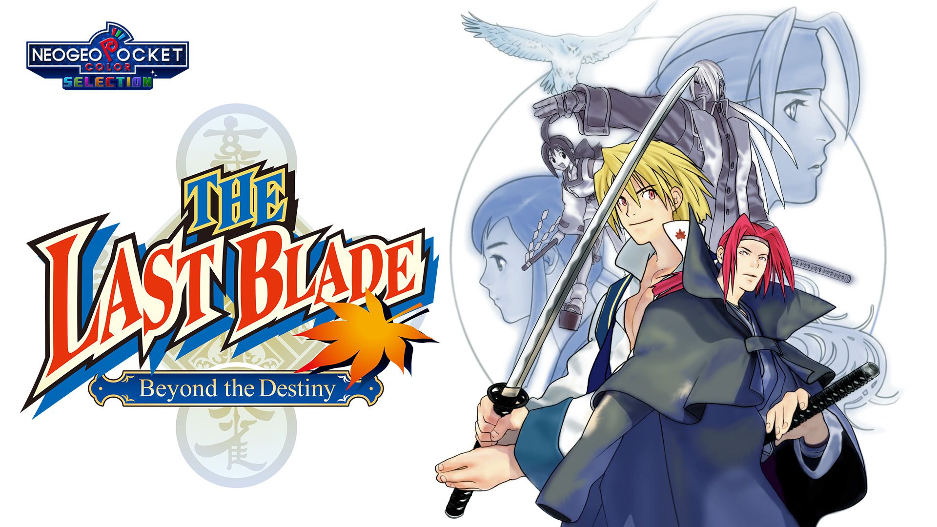 The Last Blade Beyond the Destiny Principal